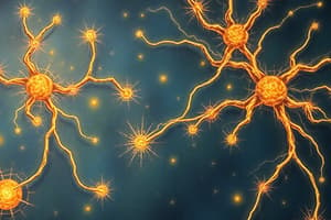 Neurons: Membrane Voltage, Ions, and Potentials