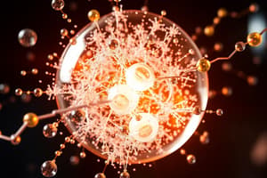 Chemistry Collision Theory and Reaction Rates