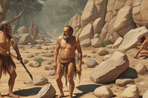 The Early Stone Age Quiz