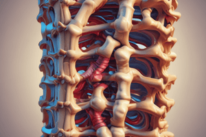 ANATOMY AND PHYSIOLOGY AXIAL AND APPENDITURE