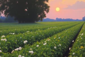 Pesticide Use and Crop Production