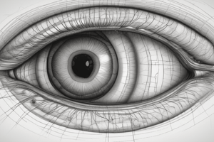 Visual Field Projection and Retinal Organization