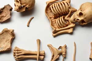 Forensic Anthropology Overview