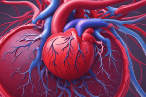 The Circulatory System: Structure, Function, and Diseases