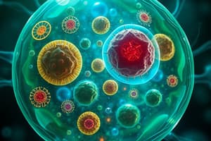 Cell Organelles & Prokaryotic vs. Eukaryotic Cells