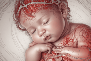 Cardiovascular System in a Newborn Baby