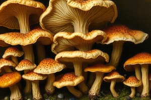 Fungi Overview and Structure Quiz