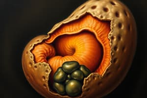 Embryology: Third Week of Development