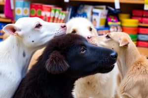 Tiere und Einkaufen