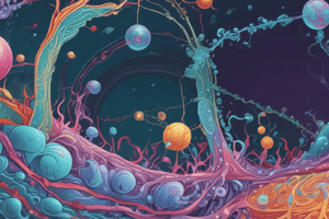 Plasma Membrane Proteins