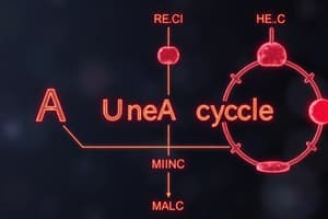 Amino Acids and Metabolism Quiz