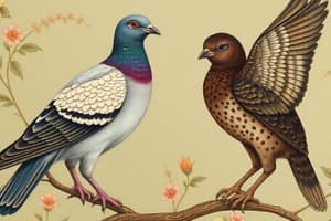 Passenger Pigeon and Thylacine Extinction Quiz