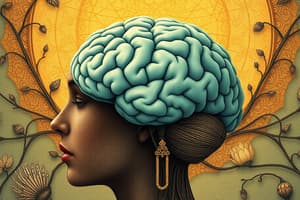 Neuroplasticity and Neurogenesis Quiz