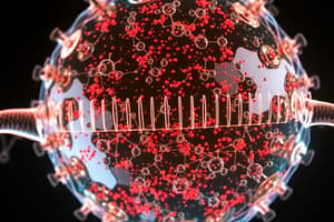 Transcriptional Control of Gene Expression