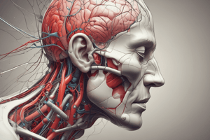 Pathophysiology of Pain: Anatomy of Pain and Somatosensory System