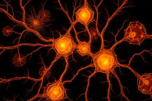 Nerve Tissue and Neuroglia