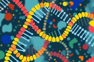 RNA Types and Transcription Processes