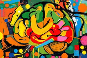 Creatividad y función cerebral