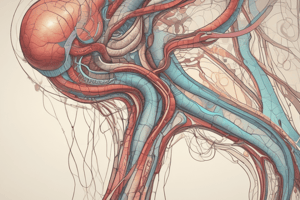 Anatomy of the Kidney