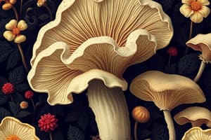 Fungi General Characteristics Quiz