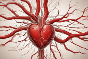 Cardiovascular System Blood Flow Quiz