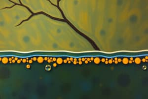 Transmembrane transport of ions & small molecules