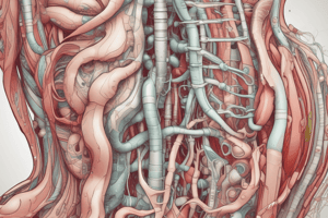 Introduction to Digestive Tract