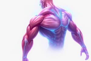 Muscle Function Terminology