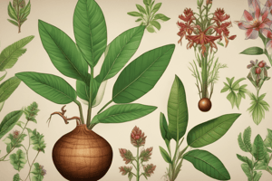 Plantas Medicinales de la Amazonía Peruana