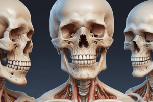 Pathology of Bone Neoplastic Disorders Quiz