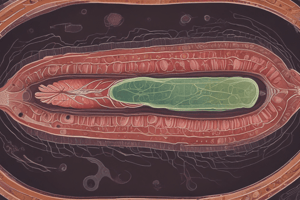 Uncinarias Infection and Diagnosis