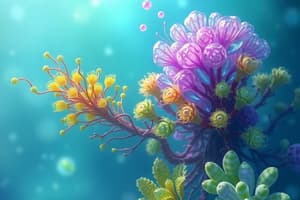 Algae: Unicellular and Multicellular Types