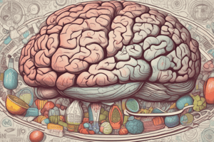 Brain Function and Ketogenic Diet