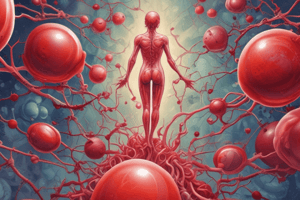 Blood Cells and Erythropoiesis