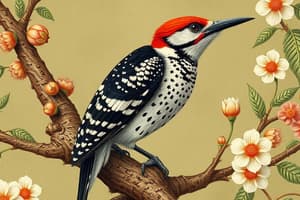 Acorn Woodpecker Behavior Quiz