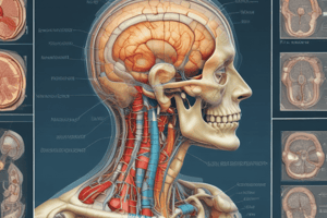 Radiology Artifacts