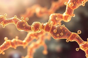 Biochemistry: Ribose 5-Phosphate Formation