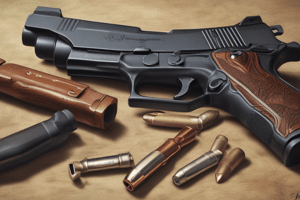 Criminal Justice Firearms: Handling Procedures for Ammunition