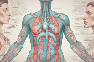 Thyroid Gland Function and Hormones