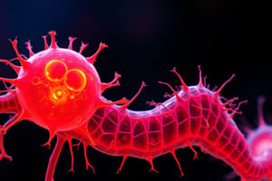 Eukaryotes vs Prokaryotes Overview