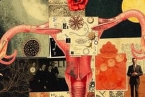 Reproductive System and Symbolism