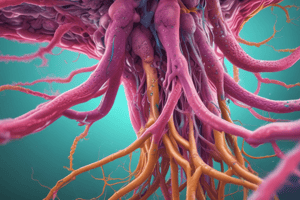 Overview of the Immune System and Lymphatic System