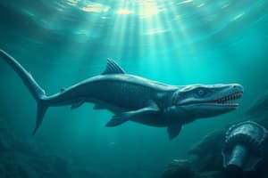 Ichthyosaur Overview and Characteristics