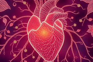 Propriétés Cellule Cardiaque et ECG