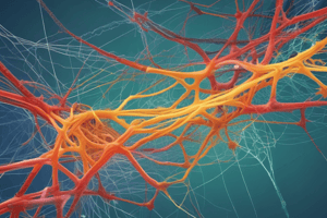 8- (9) Cytoskeleton Protein Networks Quiz