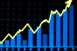 Elasticity in Oil Demand and Supply