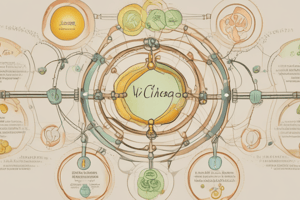 Biochemie: Acetyl-CoA und Citratzyklus