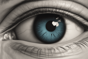 Understanding the Human Eye