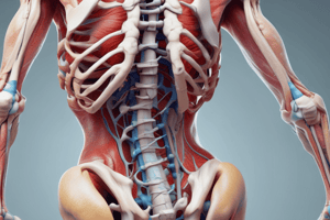 Human Locomotory System: Bones, Muscles, Joints