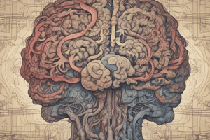 Psychology Chapter 16: Frontal Lobes and Networks